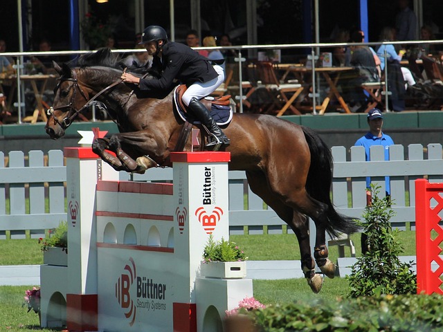 球员锦标赛决赛前瞻：特鲁姆普再战威尔逊，世界.